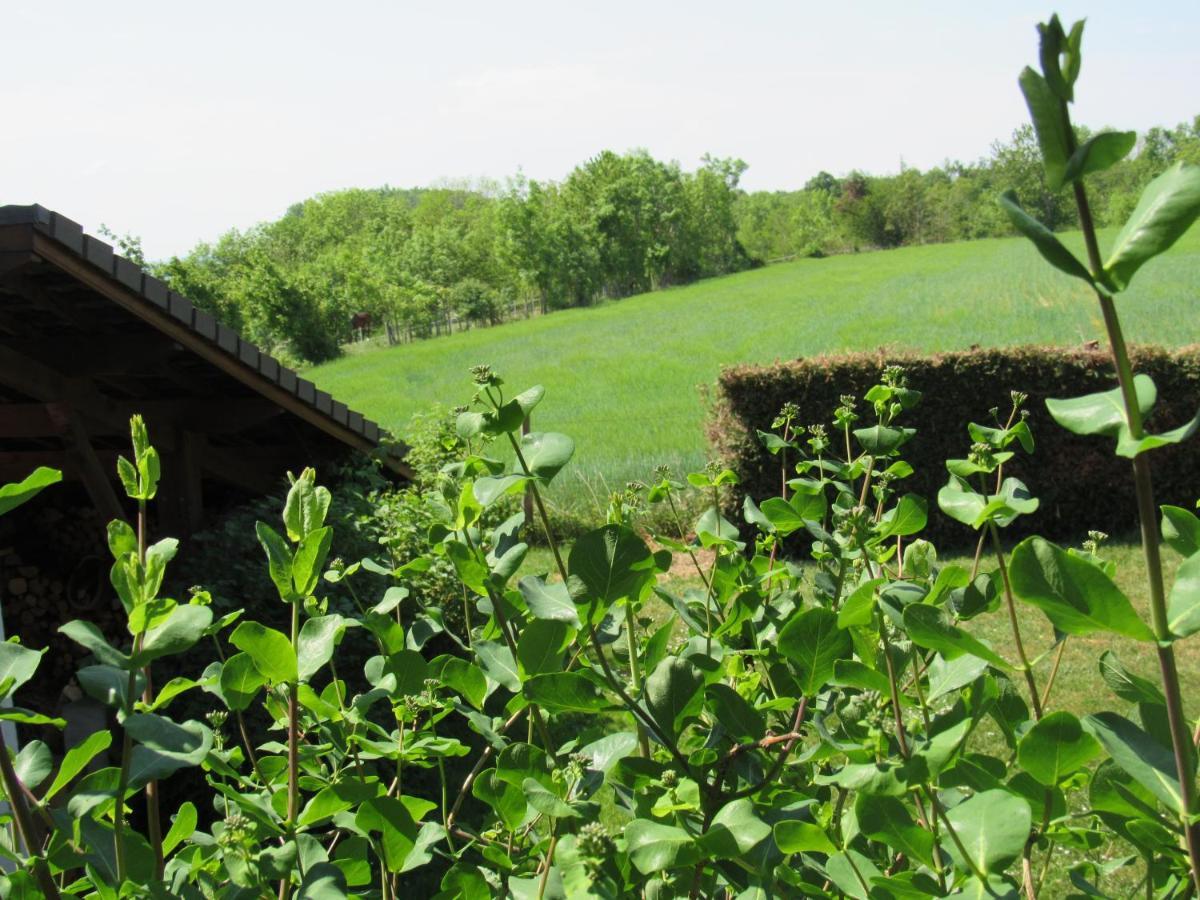 Le Temps D'Une Pause Cessieu Exterior photo